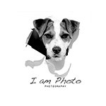 I am photo photography business logo in greyscale on a white background